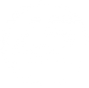 Aviation Personnel International 45 Years