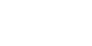 API white logo full - Aviation Personnel International