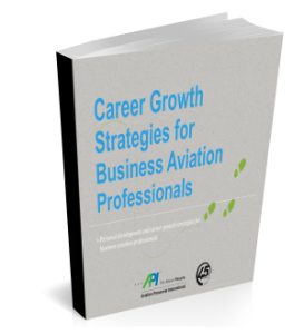 API's Career Growth Strategies for Bizav Pros ebook download